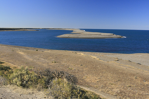 Reserva Faunística Península Valdés